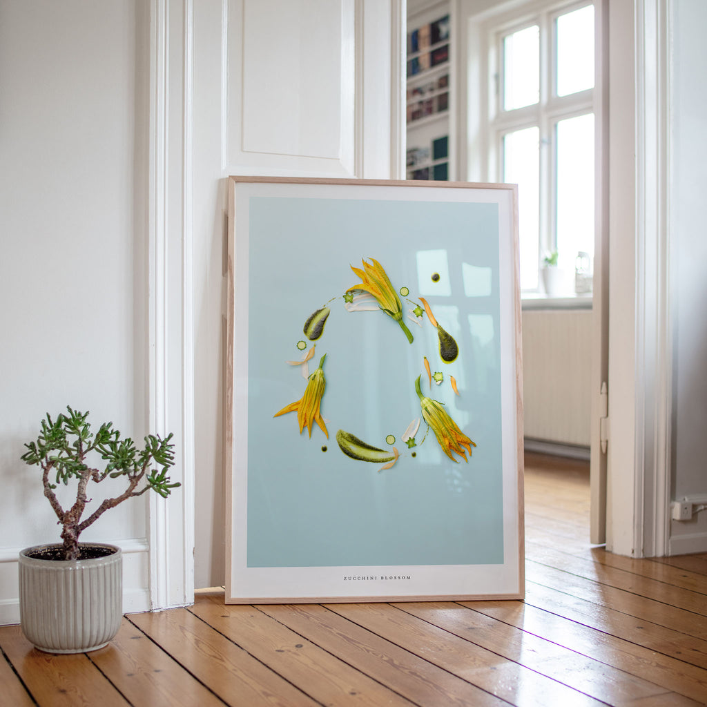 Zucchini Blossom botanical poster on wall with wooden flooring and plant