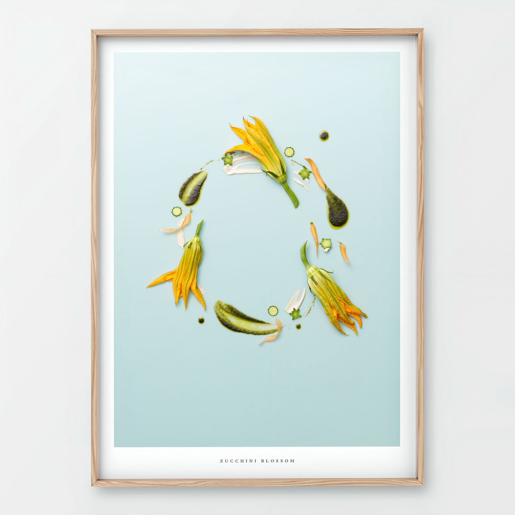 Zucchini Blossom Giclée art print - botanical flower illustration on light blue background