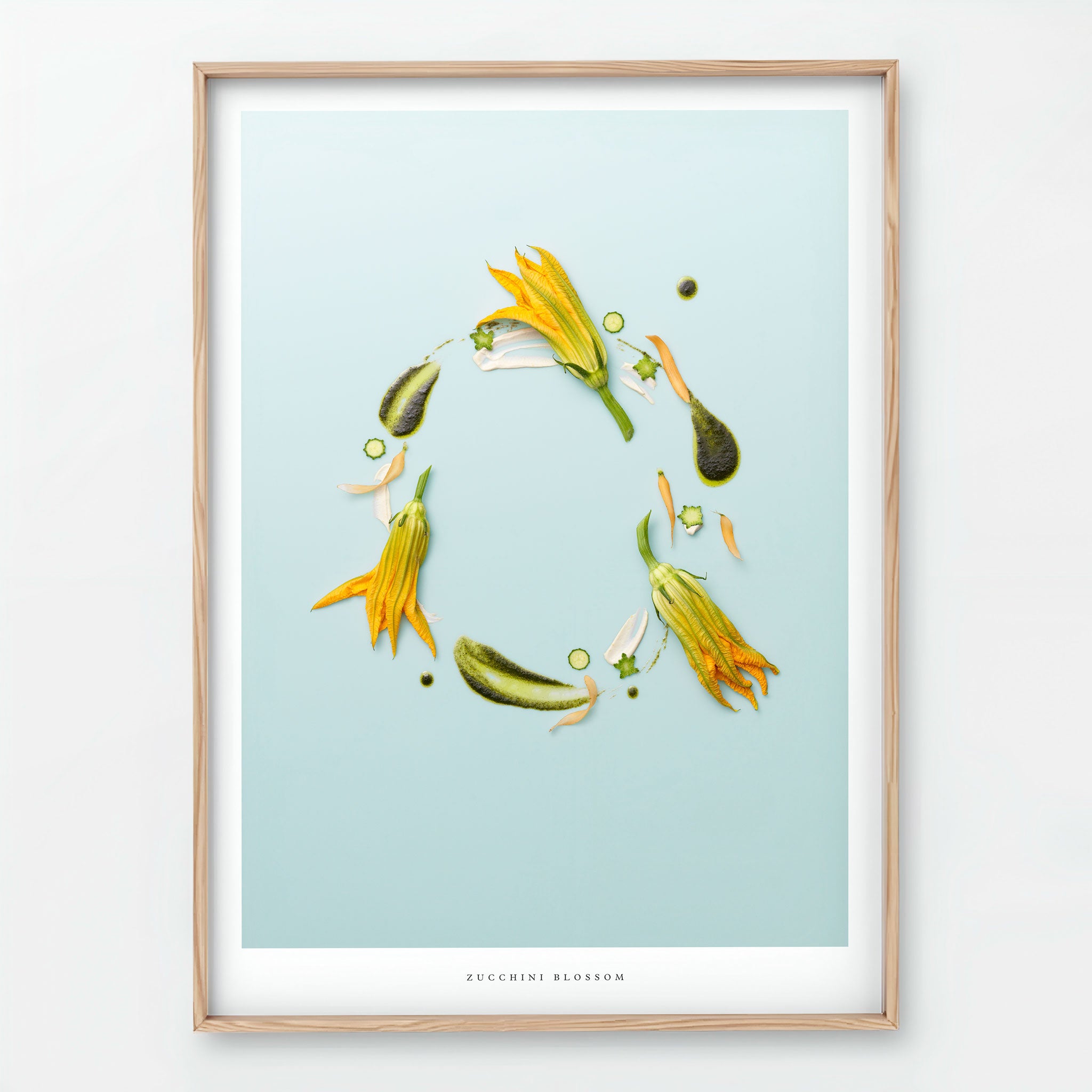 Zucchini Blossom Giclée art print - botanical flower illustration on light blue background